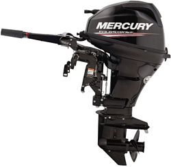 Mercury F15 EFI