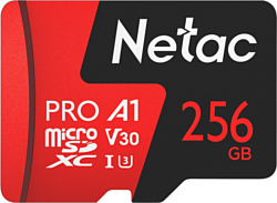 Netac MicroSDXC 256GB V30/A1/C10 Netac P500 Extreme Pro с адаптером