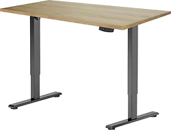 Стол для работы ErgoSmart Electric Desk Light 1200х650х25 мм (дуб натуральный/черный)