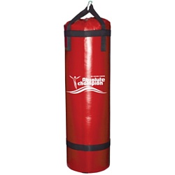Absolute Champion Стандарт 22 кг (красный)