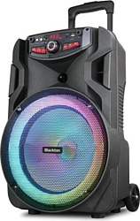 Портативная акустика Blackton Bt PBS2113