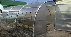 Теплица Ботаник Тюльпан-антишторм 6 м