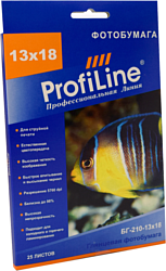 ProfiLine PL-GP-210-13X18-25