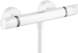 Смеситель Hansgrohe Ecostat 13116700