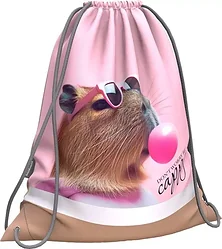 Мешок для обуви/формы Erich Krause CapyBarbie 62831