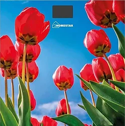 Напольные весы HOMESTAR HS-6001I