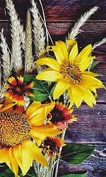 Инфракрасный обогреватель БРТЗ Дыхание тепла Золотой натюрморт Инфракрасный обогреватель БРТЗ Дыхание тепла Золотой натюрморт