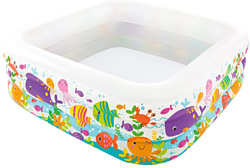 Intex Sea Aquarium 57471 (159х50)