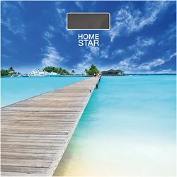Напольные весы HOMESTAR HS-6001R