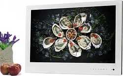 Телевизор AVEL AVS240WS (белый)