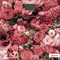 Напольные весы HOMESTAR HS-6001L