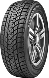 Delinte Winter WD1 225/55 R17 97T