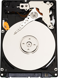 Infortrend HESS10S3120-0030C 1.2TB