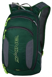 DAKINE Amp LG 18 green (forest)