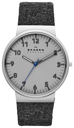 Наручные часы Skagen SKW6097