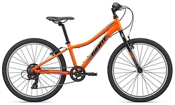Велосипед Giant XtC Jr 24 Lite (2021) Велосипед Giant XtC Jr 24 Lite (2021)