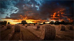 Информационная панель Samsung VM46B-U LH46VMBUBGBXCI