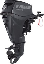 Evinrude E30MRL