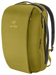 Arcteryx Blade 20 green (biome)