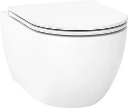 Унитаз Wellsee Chalice Perfection RimFree 182607001 (чаша, пневмокрышка, глянцевый белый)