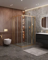 Душевой уголок Cezares MOLVENO-AH-22-120/110-C-BORO-IV Душевой уголок Cezares MOLVENO-AH-22-120/110-C-BORO-IV