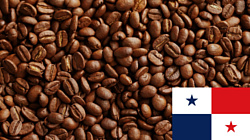 Coffee Everyday Панама Boquet SHB в зернах 250 г