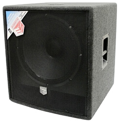 ES ACOUSTIC 118S P8