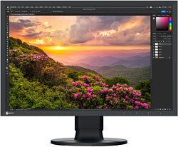 EIZO ColorEdge CS2400S