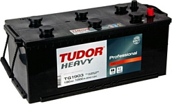 Tudor Professional TG1905 (190Ah)
