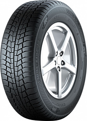 Gislaved Euro*Frost 6 225/45 R18 95V