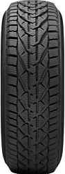 Tigar Winter 225/45 R17 91H