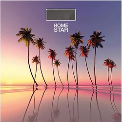 Напольные весы HOMESTAR HS-6001S