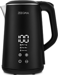 Электрочайник Zeegma Ketlee Control Black