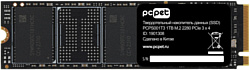 PC Pet 1TB PCPS001T3