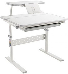Растущая мебель Study Desk E202S (серый)