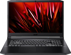 Acer Nitro 5 AMD AN517-41-R47X (NH.QBHER.00J)