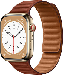 Apple Watch Series 8 LTE 45 мм (корпус из нержавеющей стали, кожаный ремешок)