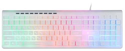 Oklick 490ML Multimedia Keyboard White USB