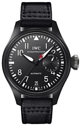 IWC IW501901