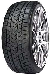 Gripmax Status Pro Winter 225/45 R19 96V