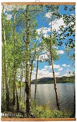 Инфракрасный обогреватель ТеплоМакс Домашний очаг (березки)