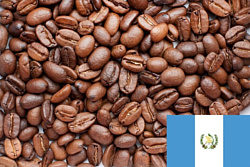Coffee Everyday Арабика Гватемала SHG EP Santa Rosa в зернах 1000 г