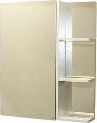 Шкаф-зеркало СанитаМебель  Лотос 101.650 L