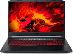 Acer Nitro 5 AN517-52-586G (NH.QDVEG.003)