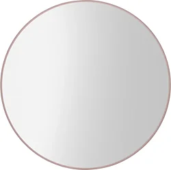 Зеркало Saniteco  1P10 100 (пудра)