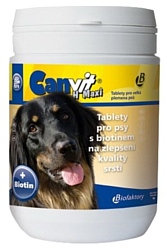 Canvit CanVit Biotin maxi