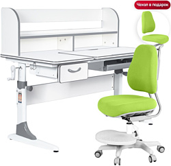 Anatomica Study-120 Lux + надстройка + органайзер + ящик с зеленым креслом Ragenta (белый/серый)