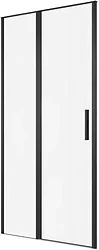 Душевая дверь Allen Brau Priority 3.31033.BBA 294062 (черный браш)
