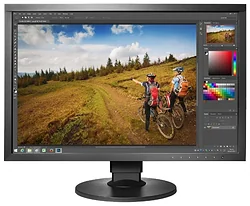 Монитор Eizo ColorEdge CS2420