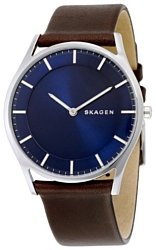 Наручные часы Skagen SKW6237